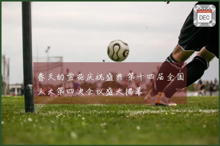 春天的雪花庆祝盛典 第十四届全国人大第四次会议盛大揭幕