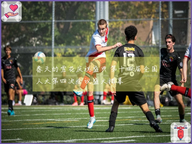 春天的雪花庆祝盛典 第十四届全国人大第四次会议盛大揭幕